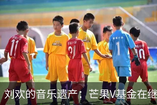 刘欢的音乐遗产：芒果V基金在继续“播种