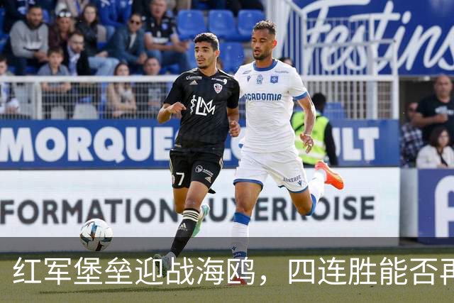 红军堡垒迎战海鸥，四连胜能否再续辉煌？